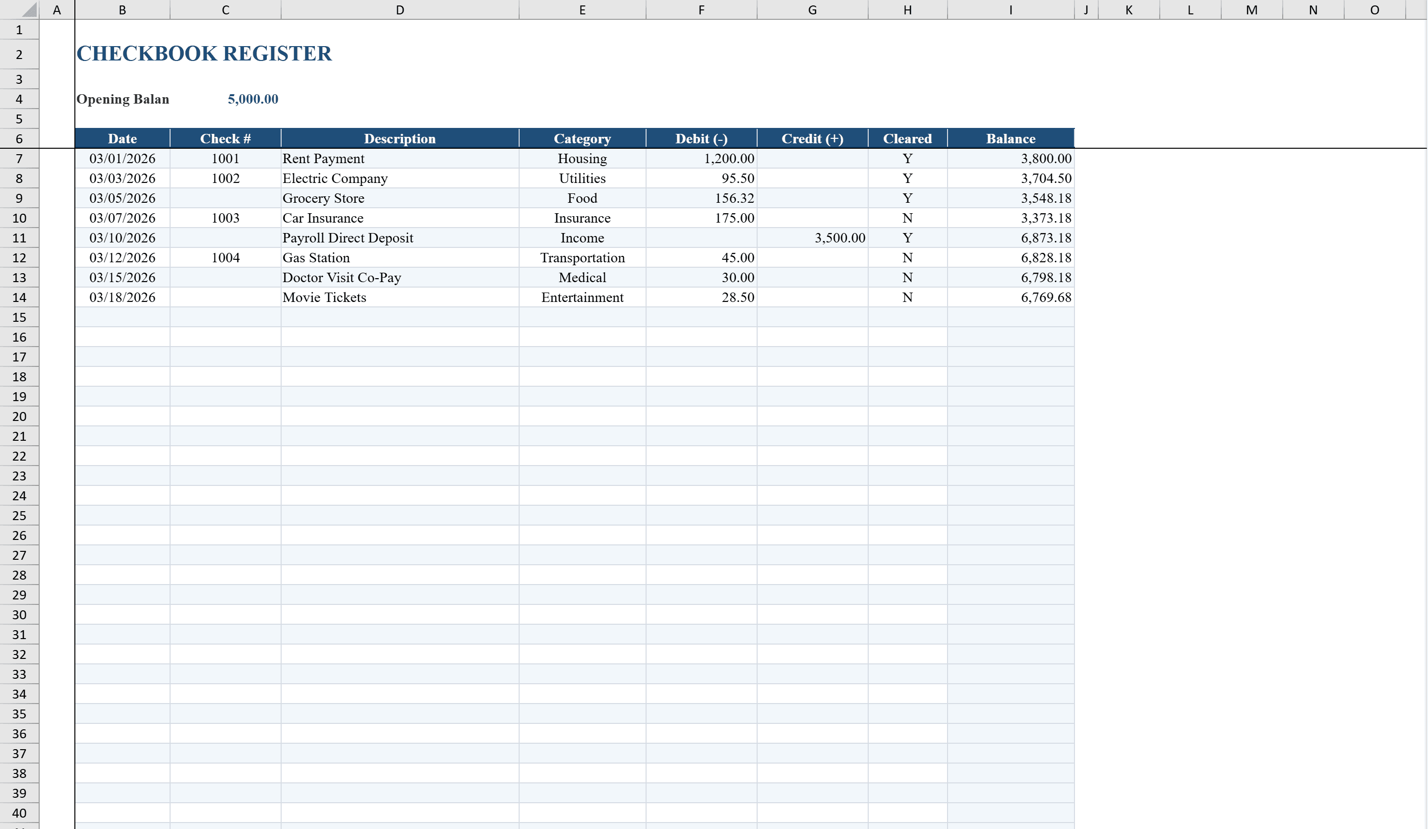 Preview of Checkbook Register Template